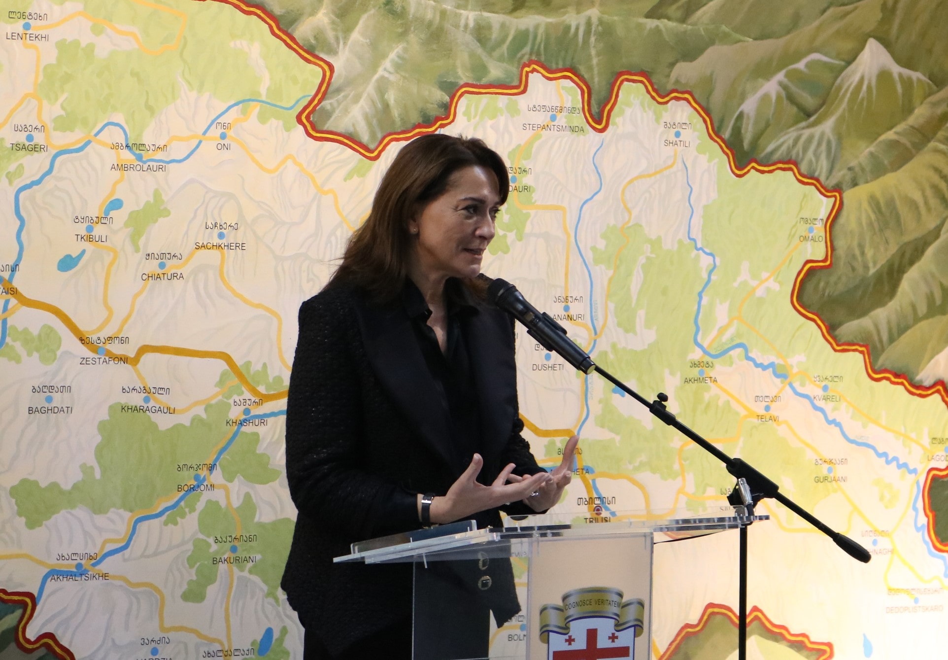 აფხაზეთის ავტონომიური რესპუბლიკის განათლებისა და კულტურის მინისტრის ვიზიტი სოხუმის სახელმწიფო უნივერსიტეტში