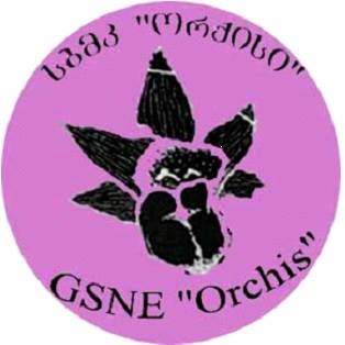 Keep Georgia Tidy Project