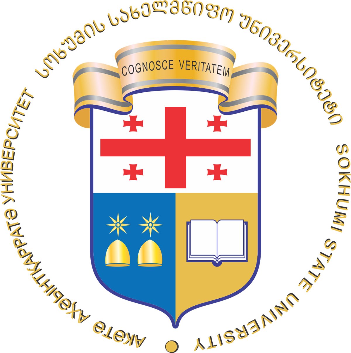 წარმომადგენლობითი საბჭოს განცხადება